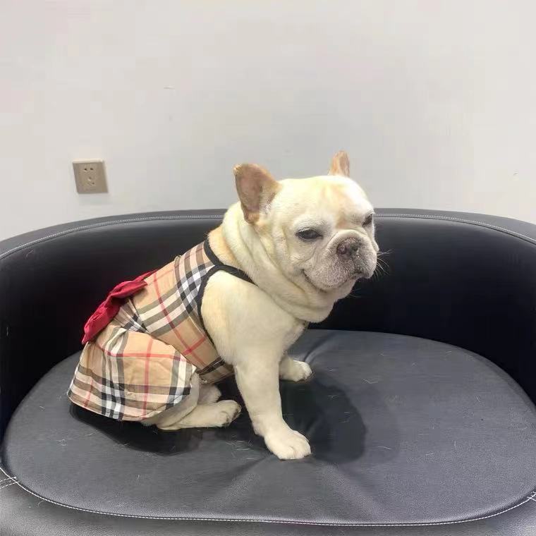 Barkberry Dress Bowknot