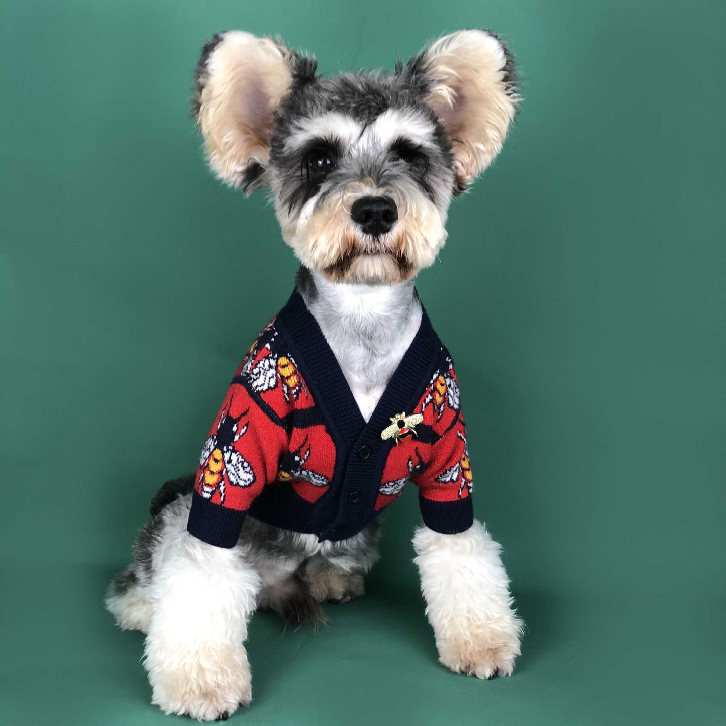 Pucci Dog Costume