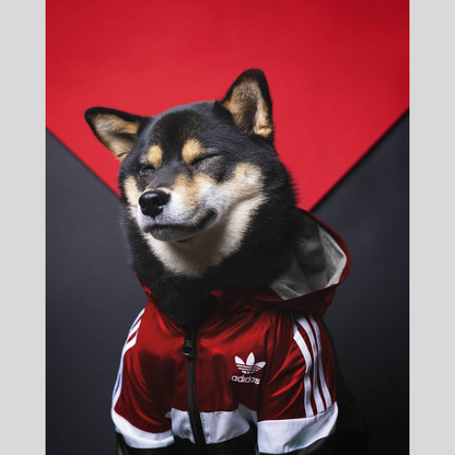 Adidog Jacket for Dog