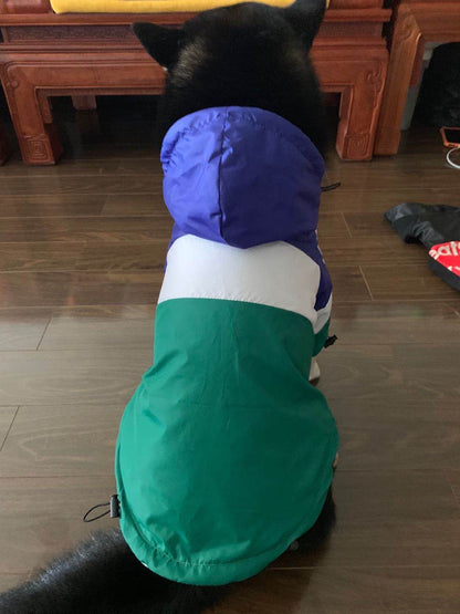 Adidog Jacket for Dog