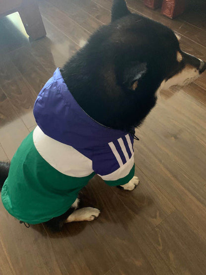 Adidog Jacket for Dog