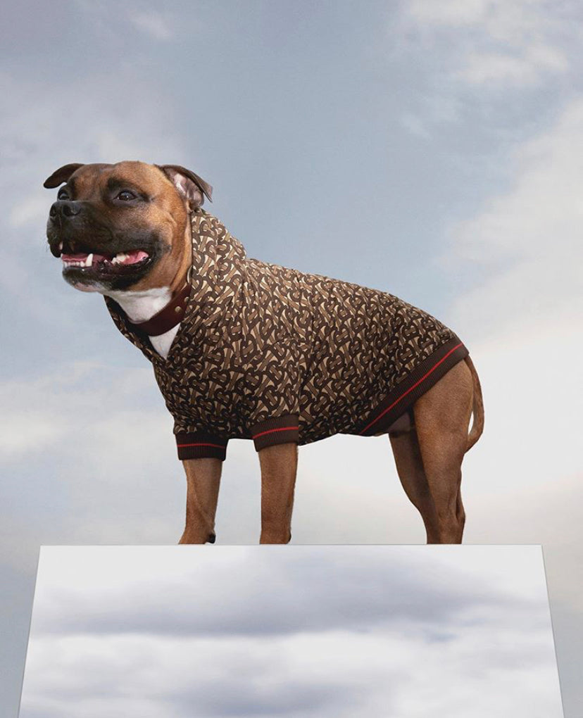 Barkberry Dog Hoodie