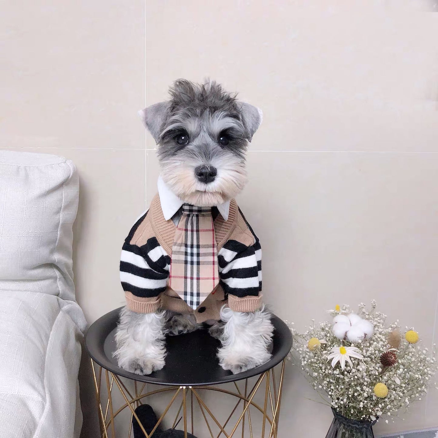Barkberry Dog Cardigan