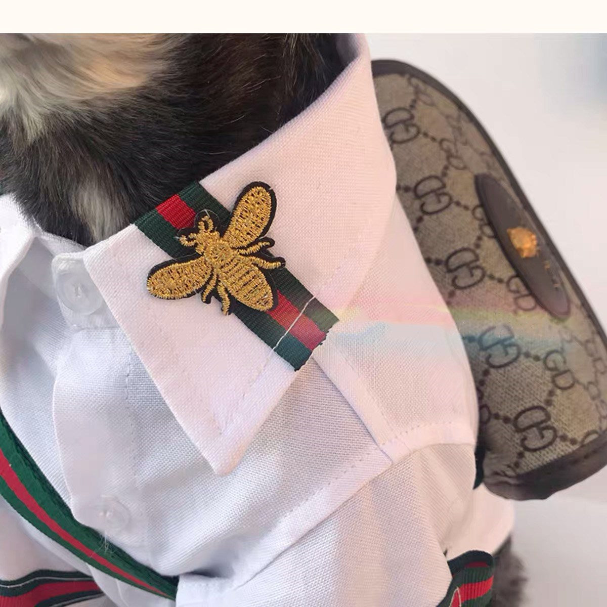 Pucci Dog Classic Shirt